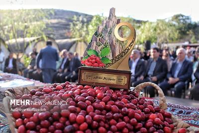  نهمین دوره جشنواره زغال‌اخته کلیبر