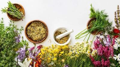  میگنا - رایحه گیاهان می‌تواند از حافظه و ذهن، محافظت کند