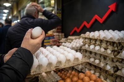  قیمت تخم مرغ امروز پنجشنبه ۵ شهریور ۱۴۰۵ در آستانه عبور از مرز ۶۰۰ هزار تومان؛ زنگ خطر برای سبد مصرفی خانوار به صدا درآمد | شرایط ویژه در بازار؛ آیا تخم‌مرغ به کالایی دور از دسترس تبدیل می‌شود؟ + علت اصلی این حرکت صعودی و پیش‌بینی بازار در روزهای پیش‌رو چیست؟