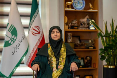  انصاری: توسعه بدون محیط زیست پایدار نیست