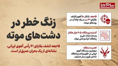  فاجعه زیست‌محیطی در موته