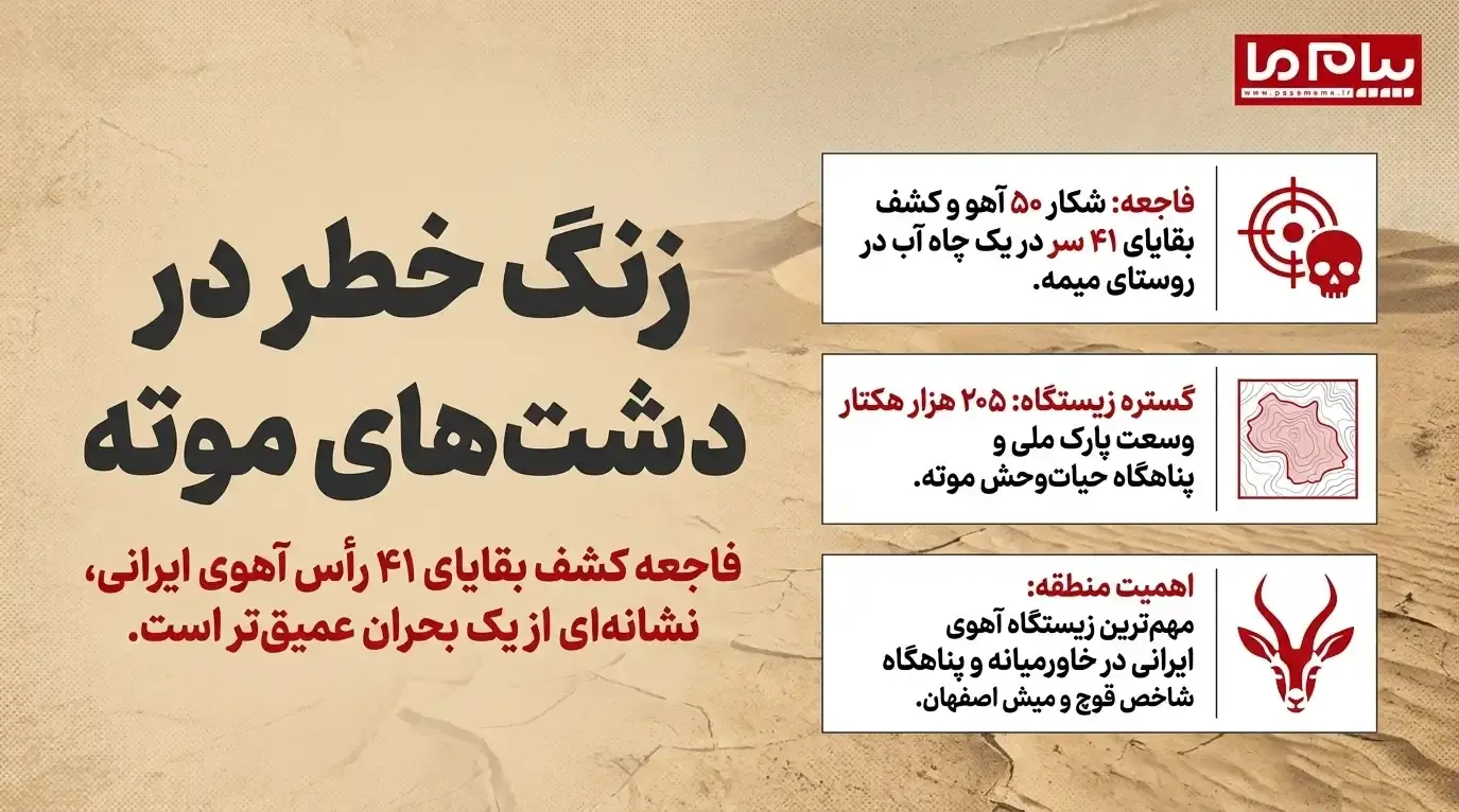 فاجعه زیستمحیطی در موته