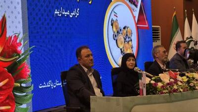 معاون رئیسجمهور: صنایع برای عبور از ناترازی برق به سمت تولید انرژی خورشیدی بروند