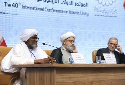 وزیر نیجر: امت اسلامی بهترین جامعه برای مدیریت جهان است