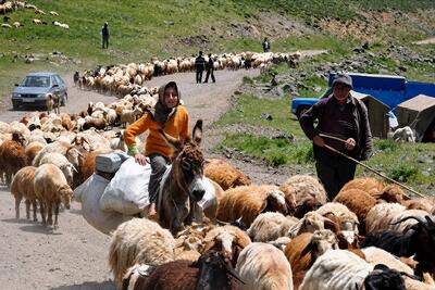 تحقق ۹۸.۶۷ درصدی تعهد اشتغال اداره کل امور عشایر استان سمنان در سال ۱۴۰۴