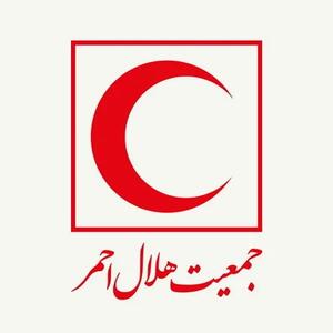 پیگیری وضعیت خلبانان ایرانی از طریق کمیته بینالمللی صلیب سرخ