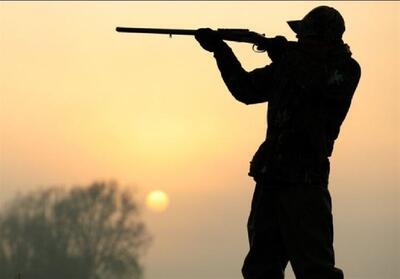 شکارچی متخلف یک رأس کل وحشی در ملایر دستگیر شد - تسنیم