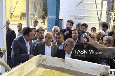 هیاهو برای هیچ؛ دست خالی مدیران کهگیلویه و بویراحمد رو شد - تسنیم