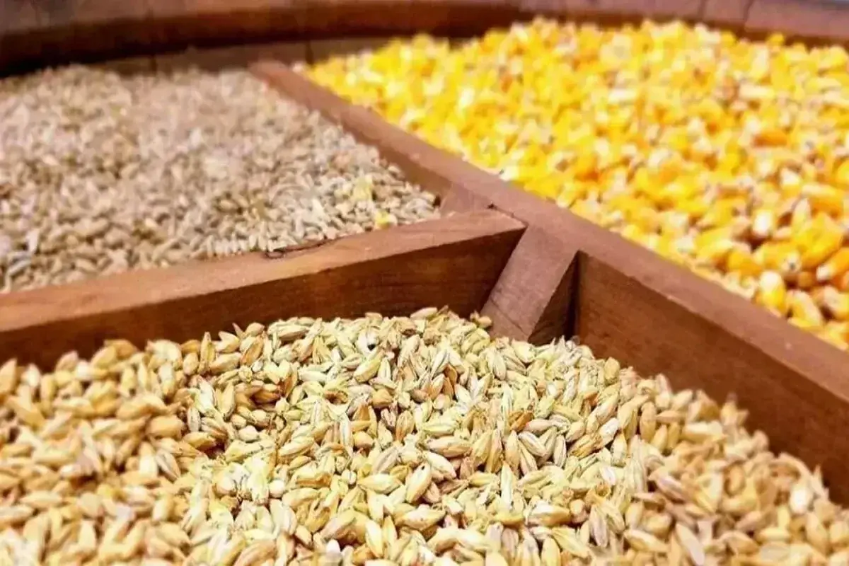 واردات نهادههای دامی با تکیه بر ظرفیت بنادر شمالی مدیریت می شود