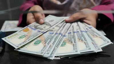 جزئیات فروش دلار با کد ملی + روش دریافت دلار دولتی و محدودیت ها