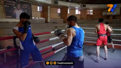 گزارش از اردوی آمادهسازی تیم ملی بوکس برای بازیهای آسیایی ناگویا