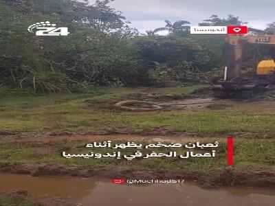 عملیات سنگین بیرون کشیدن مار غولپیکر از دل گلولای | آخرین خبر
