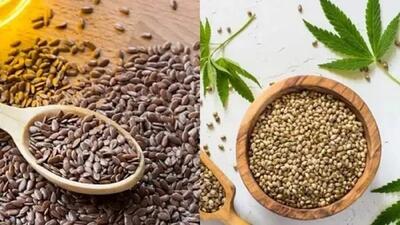 دانه شاهدانه در مقابل دانه کتان: کدامیک بهتر است و آیا میتوان آنها را با هم مصرف کرد؟