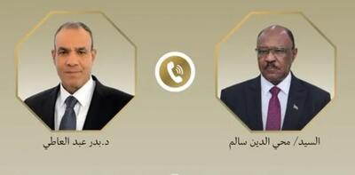  تأکید وزیران خارجه مصر و سودان بر ضرورت تامین امنیت دریای سرخ
