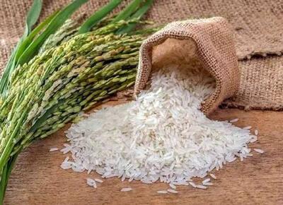 خبر مهم وزارت جهاد برای بازار/ برنج ارزان میشود؟ - اکونیوز