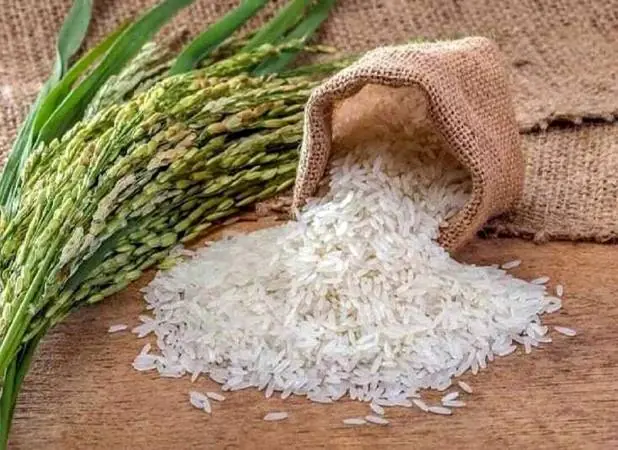 خبر مهم وزارت جهاد برای بازار/ برنج ارزان میشود؟ - اکونیوز