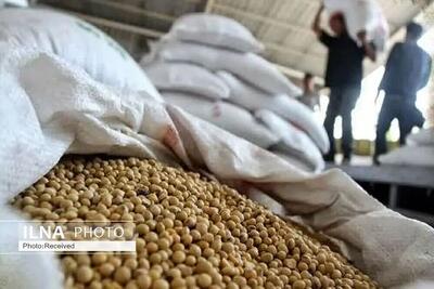 امکان ثبت سفارش واردات پنج نوع کنجاله از ۹ شهریورماه