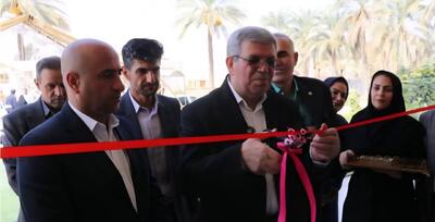 تاکید رئیس سازمان بهزیستی بر عبور از «نگهداری محض» به «توانمندسازی» در مراکز سالمندان
