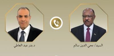  تأکید وزیران خارجه مصر و سودان بر ضرورت تامین امنیت دریای سرخ