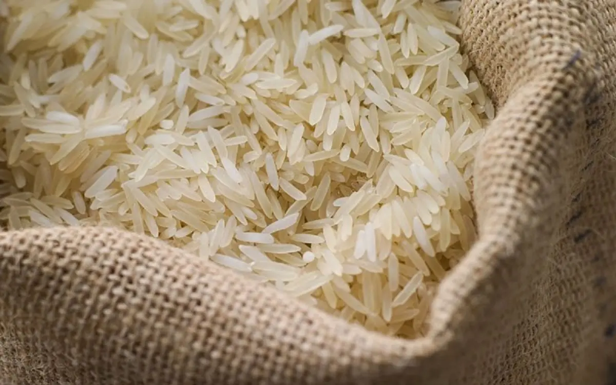  قیمت برنج خارجی کم شد (۶ شهریور ۱۴۰۵)