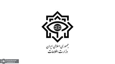  وزارت اطلاعات خبر داد: بازداشت ۳۰ سردسته و مزدور دشمن دخیل در کودتای دی ۱۴۰۴