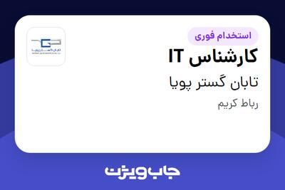  استخدام کارشناس IT - آقا در تابان گستر پویا