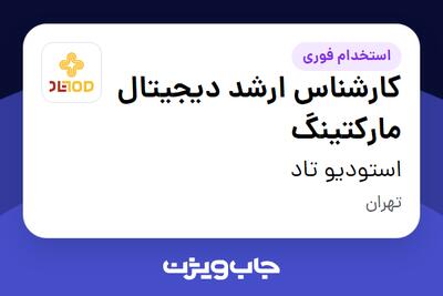 استخدام کارشناس ارشد دیجیتال مارکتینگ در استودیو تاد