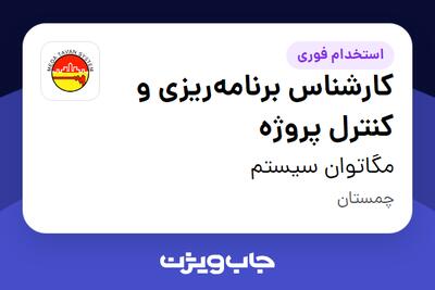 استخدام کارشناس برنامهریزی و کنترل پروژه - آقا در مگاتوان سیستم