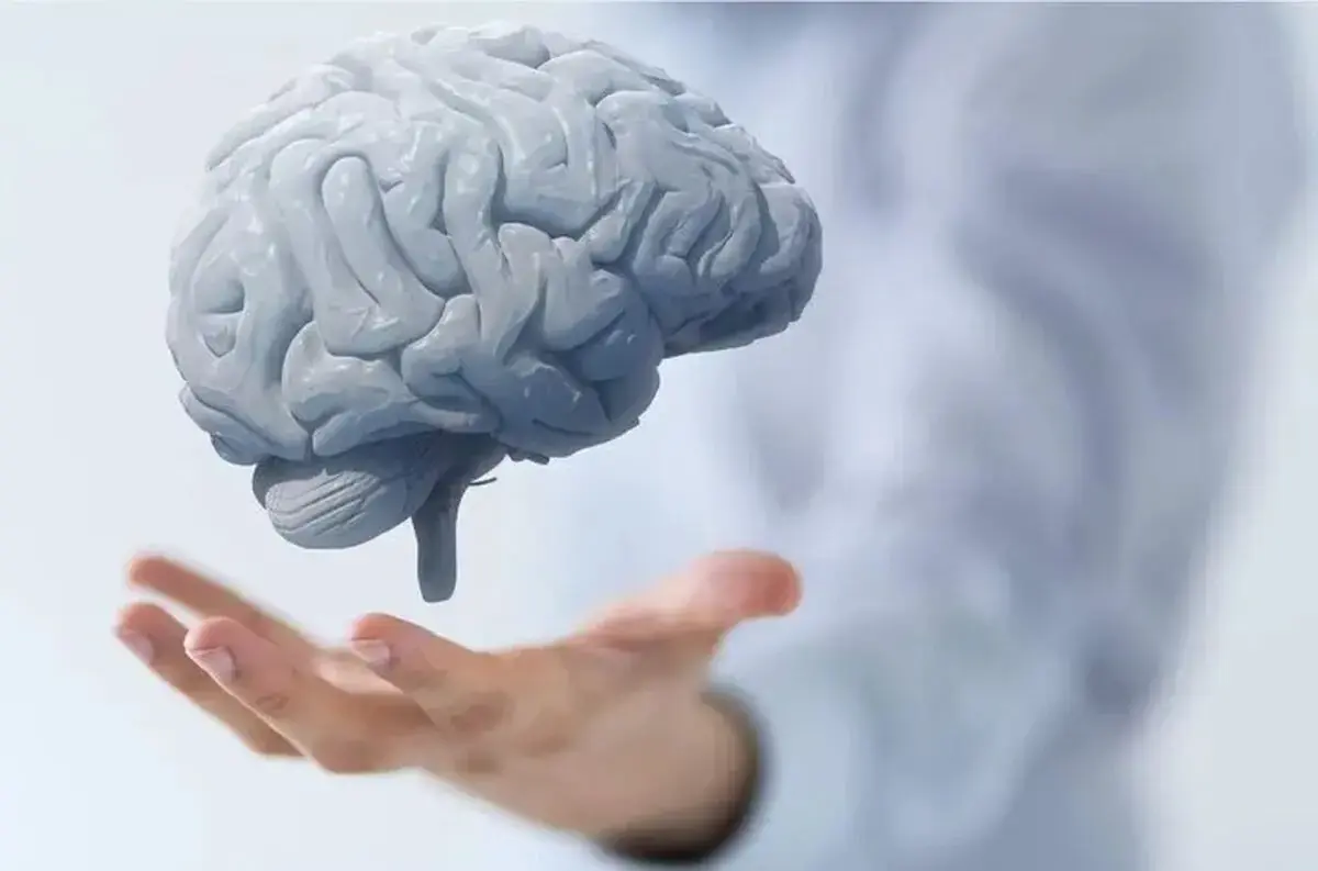  بازسازی مغز با ۲ ساعت سکوت در روز؟/ ویدئو