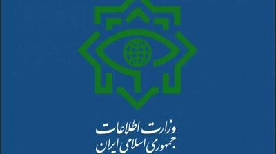  بازداشت ۳۰ سردسته و مزدور دشمن دخیل در کودتای دی - مردم سالاری آنلاین