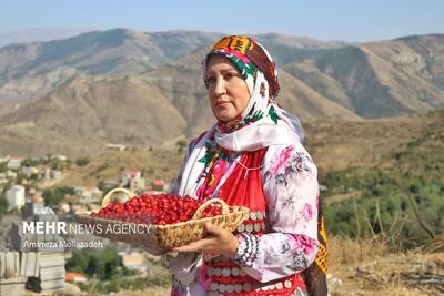  برگزاری نهمین دوره جشنواره زغال‌اخته در شهرستان کلیبر
