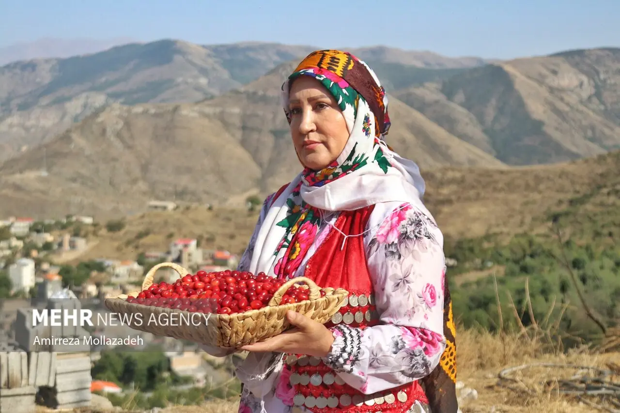 برگزاری نهمین دوره جشنواره زغال‌اخته در شهرستان کلیبر