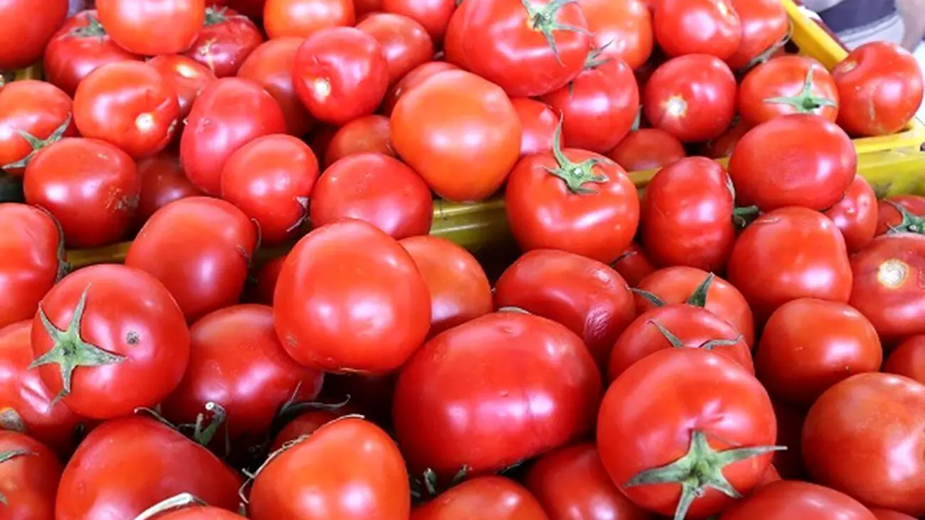 عوارض و فواید مصرف گوجه فرنگی