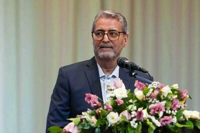 محمدی: دیپلماسی ایران هیچگاه تا این اندازه از خود اقتدار میدانی و حقوقی نشان نداده بود