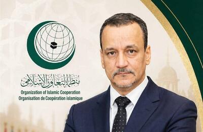 اسماعیل ولد الشیخ احمد دبیرکل سازمان همکاری اسلامی شد