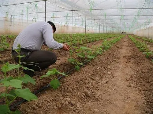  پرداخت ۲۹۷ میلیارد تومان تسهیلات به نیازمندان خراسان‌جنوبی