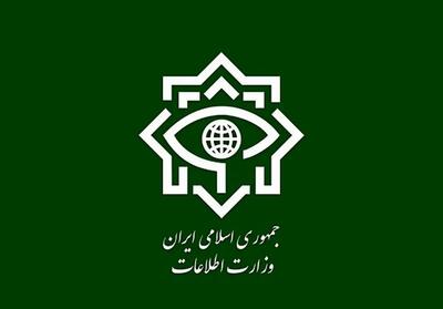  بازداشت ۳۰ سردسته و مزدور دشمن دخیل در کودتای دی