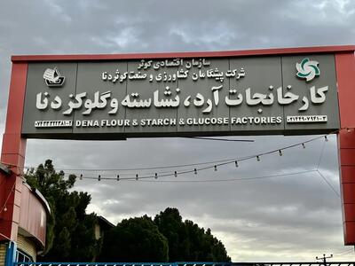 آیا سرنوشت تلخ خصوصیسازی در کمین بزرگترین زیرساخت تبدیلی کهگیلویه و بویراحمد است؟ / کارخانهای با ظرفیت ۳۰۰ شغل در انتظار تصمیم