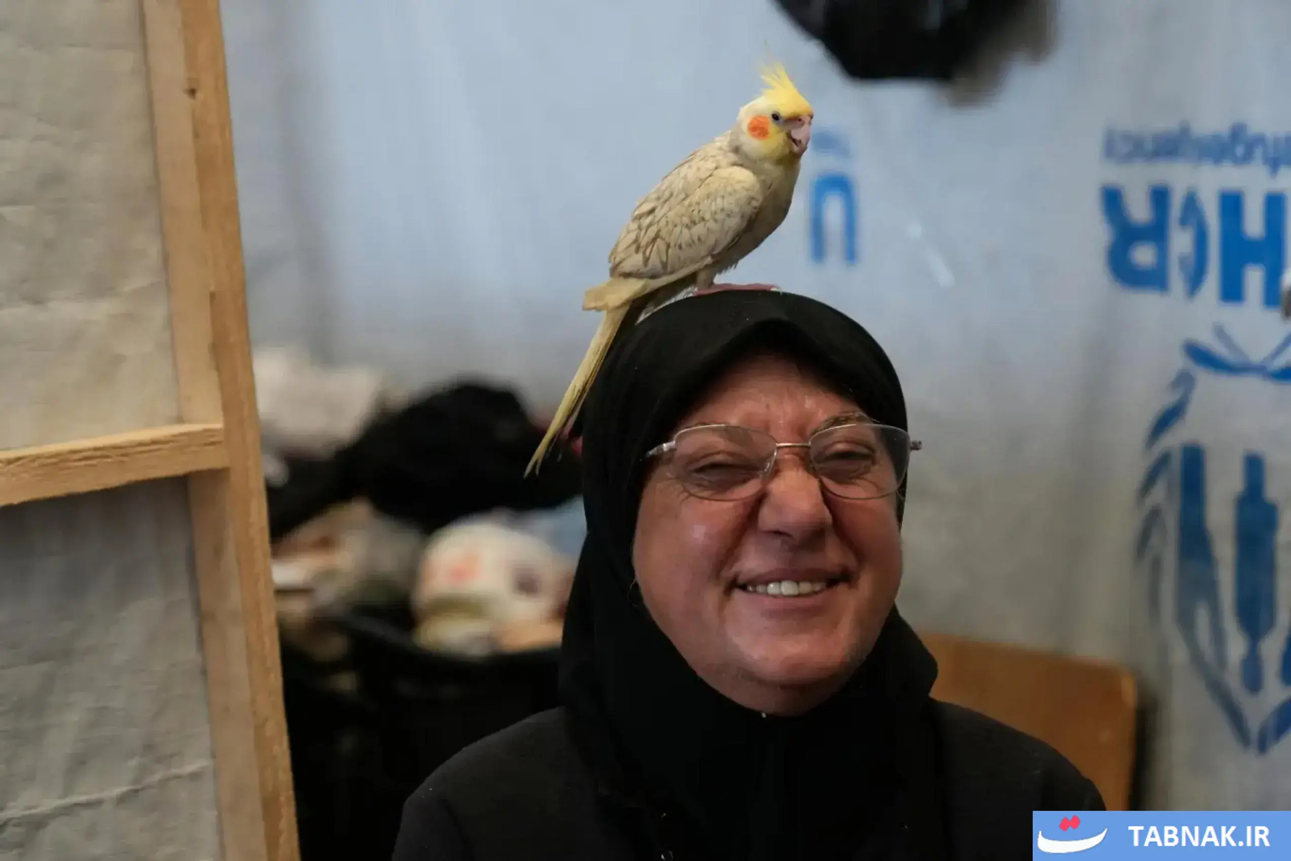  عکس: زمین بسکتبال؛ آخرین پناهگاه آوارگان لبنانی در «صور»
