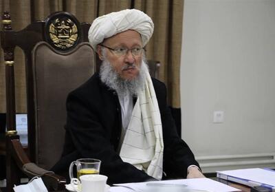 طالبان: بازگشت 8 میلیون افغان، چالشهای اقتصادی را تشدید کرده است - تسنیم