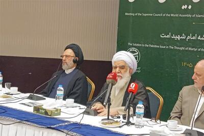  برگزاری رفراندوم مترقی‌ترین راه‌حل بحران فلسطین است - تسنیم