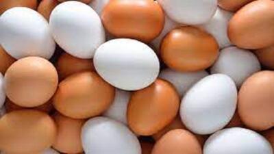  آذربایجان شرقی رتبه چهارم کشور در تولید تخم مرغ