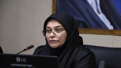 تجهیز ۷ تالاب فارس به دوربینهای پایش آنلاین و پیگیری خرید پهپاد