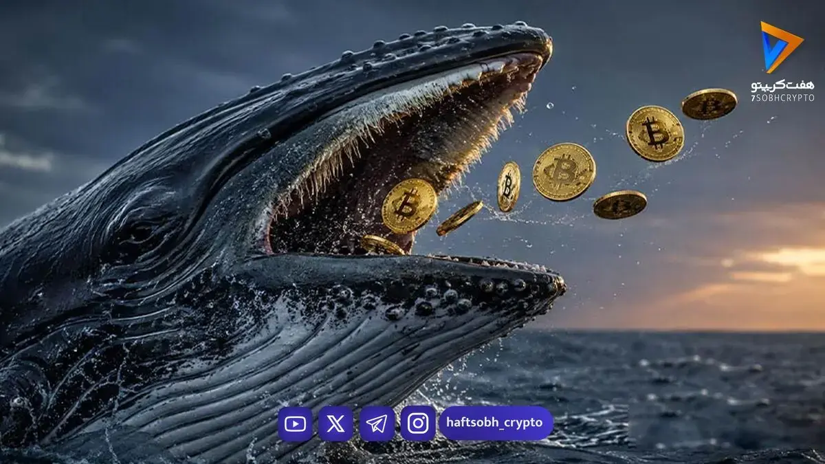 نهنگ ۱۵ ساله بیتکوین بیدار شد؛ ۴۰ میلیون دلار BTC جابهجا شد!