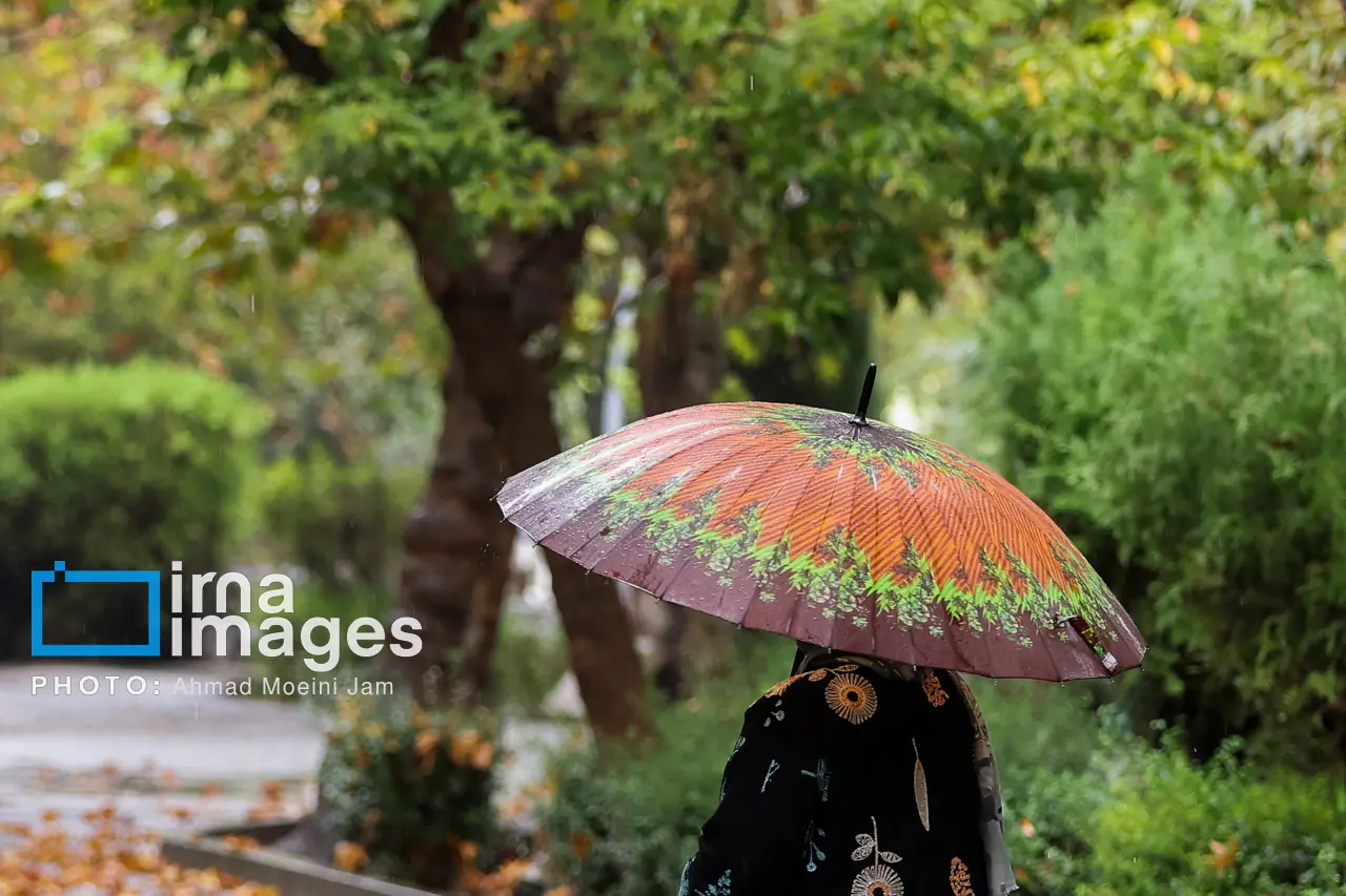 هشدار هواشناسی برای بارشهای رگباری و باد شدید در خراسان رضوی | آخرین خبر