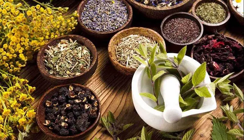 نگاهی به جایگاه داروسازی سنتی در ایران | آخرین خبر
