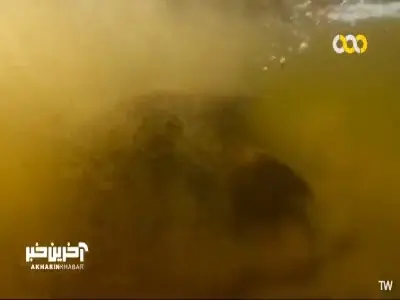  پایان یک سفر چهارصد کیلومتری لاکپشت غول پیکر! | آخرین خبر