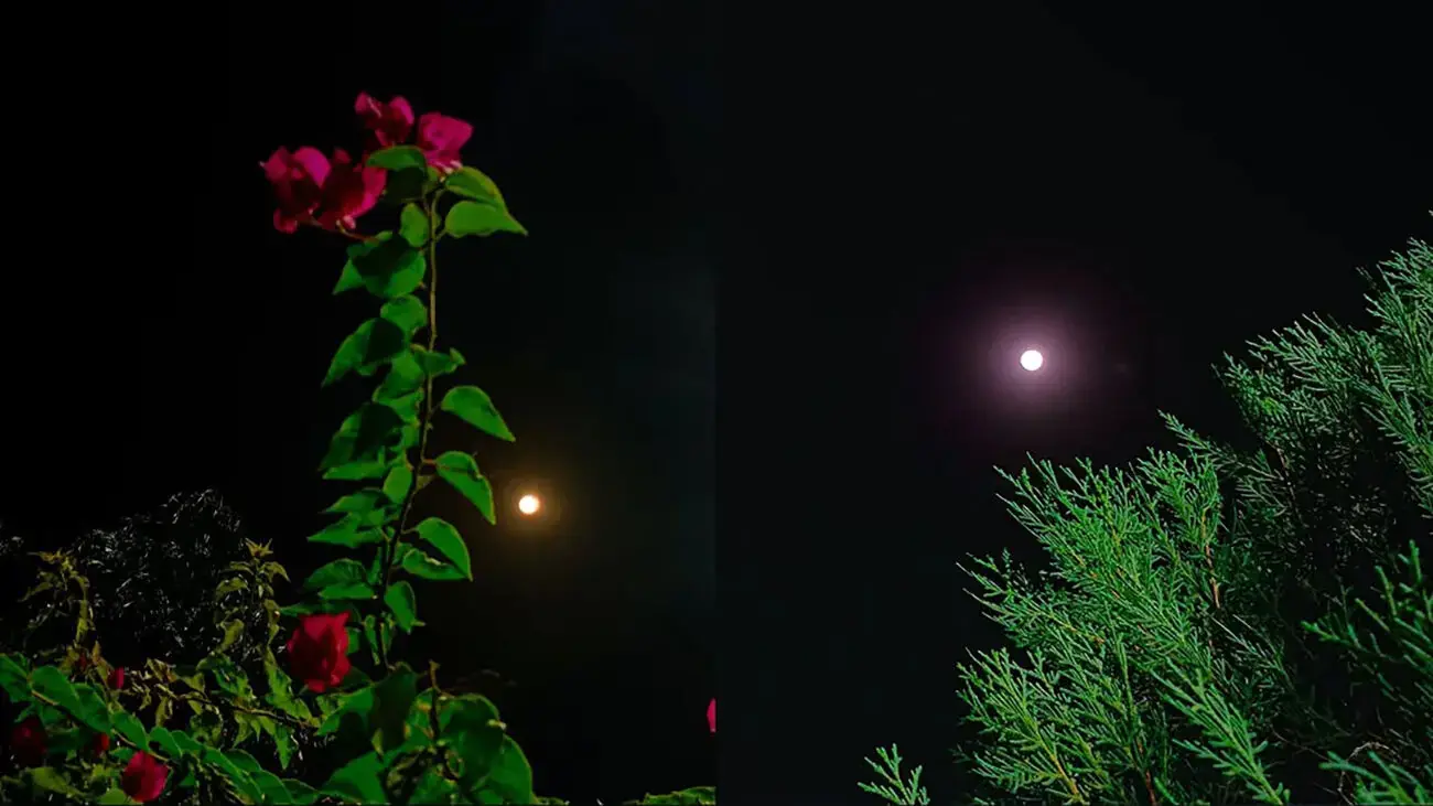  فال ابجد شنبه ۷ شهریور ۱۴۰۵ برای متولدین هر ماه / فال امروز شما چه پیامی دارد؟ / طالع ابجد ۱۲ ماه را بخوانید