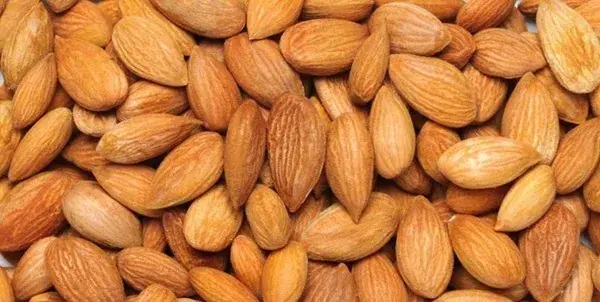  بادام قوشچی در مسیر تبدیل‌شدن به برند ملی