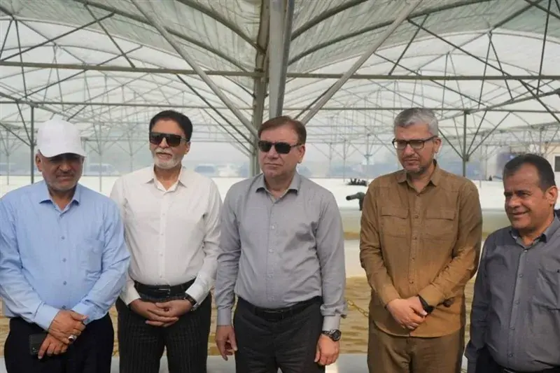 مزرعه تولید اسپیرولینا با سرمایهگذاری ۳۱۰ میلیارد ریالی افتتاح شد